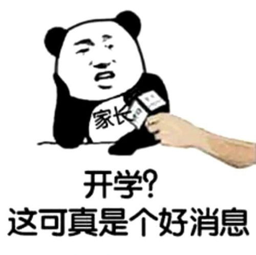  有哪些堪称有毒的表情包