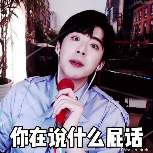  有没有好玩的刘宇宁表情包