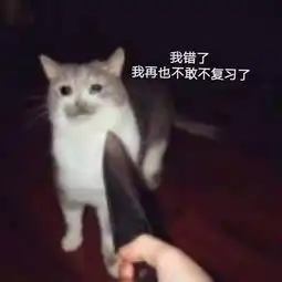  两周改变命运