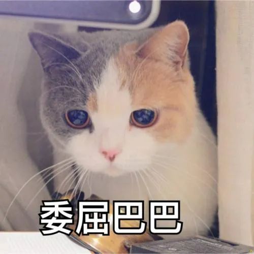  我真的好喜欢另一半坦率地表达自己的爱意