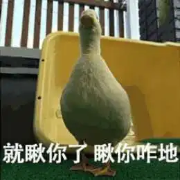  比心鸭子全套表情包分享