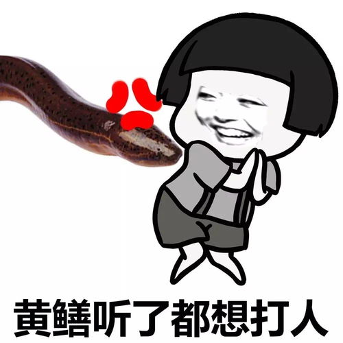  表情丨皮皮鳝,我们走动图带你飞