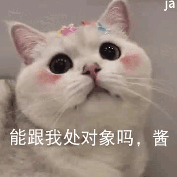  套路表情包之能跟我处对象吗