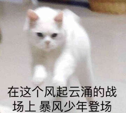 三个男人跳舞的表情包狮