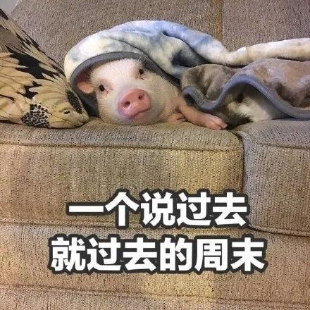  表情包丨放假的意义大概就是这么滴吧