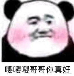  夸人的表情包你是个好人