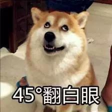  抱歉阿娇,这一次我必须泼你一盆冷水