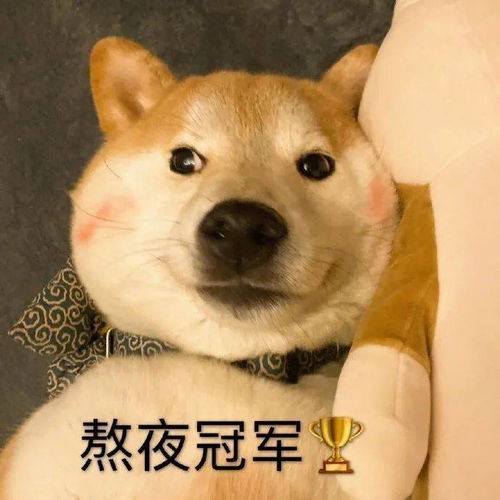  乱七八糟的沙雕表情包,我可太喜欢了