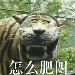 史上最魔性老虎雕像它长这样,因太滑稽而被拆