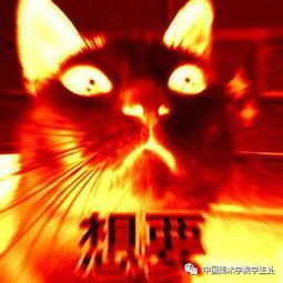  毕业季2017毕业开幕式我成功进场啦