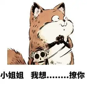  焦哥有料...哄小姐姐表情包小姐姐,我能到你心里去吗