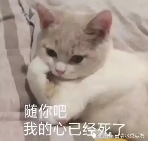  惹女票生气了,别再发错了,亲爱的,这些表情包才是解药