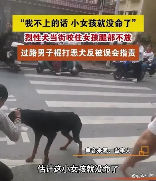  无语女孩被狗咬住,男子棍打恶犬施救被指责,爱狗人士是眼瞎吗
