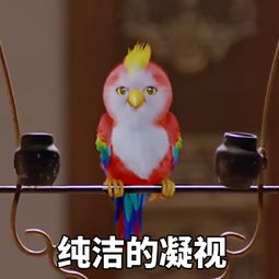  苍梧鸟带字图片表情包