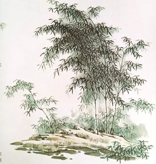  书画联盟丨一篇文章全面了解山水画树技法
