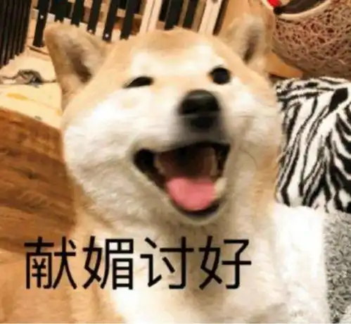  哪些星座是讨好型人格