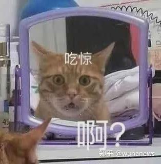  罗志祥苦肉计求复出夜光剧本女星男女皆可马甲线女星冻卵代孕