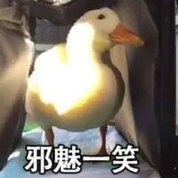 比心鸭子高清无水印图片分享