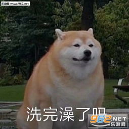  我他妈直接拒绝表情包图片我他妈直接求婚表情包下载乐游网游戏下载