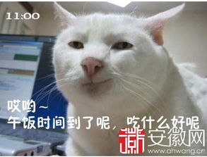 搞笑表情包模板上班