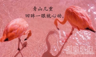  七夕那些土味情话表情超腻歪土味情话表情素材包无水印版软件下载