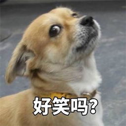  青年丧文化梦想就是做一条好吃懒做的咸鱼