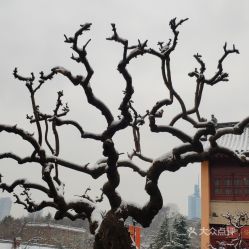  电话,地址,价格,营业时间南京周边游
