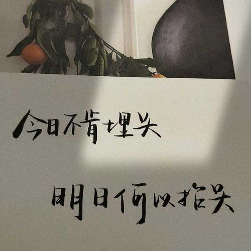 头像图片背影文案