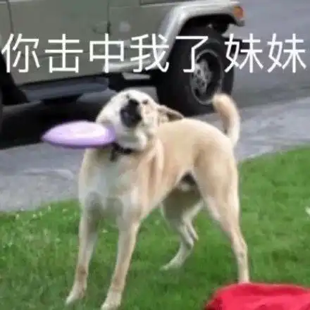  最新表情包取图片妹妹,你看过来