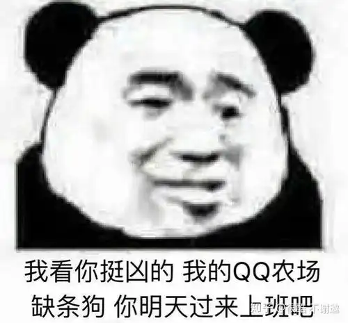  有哪些让人神清气爽的口吐芬芳专用表情包