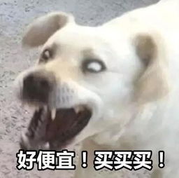  备战双11,5大营销攻略让你的课卖到手软