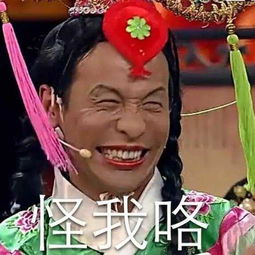  2017年宋小宝不打算上综艺节目,那么谁来更新我们过气的表情包呢