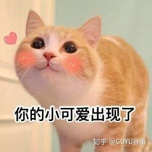  中国有哪些传统文化习俗正在消失或已经消失