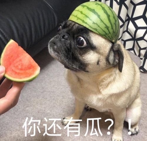 苏宁被曝公寓门,是资本无情,还是另有隐情