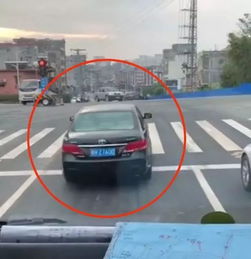  怀集粤h600的车主今天必须给你赞
