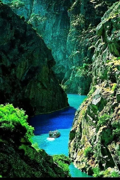  自然风景山水树木,风景无限美好