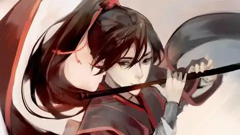  魏无羡个人向皆是我曾途径路,不过两鬓雪与霜
