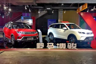  大白话解读野马汽车2025战略,小学生都能看得懂