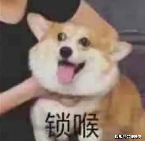  沙雕表情包图片感谢老铁支持