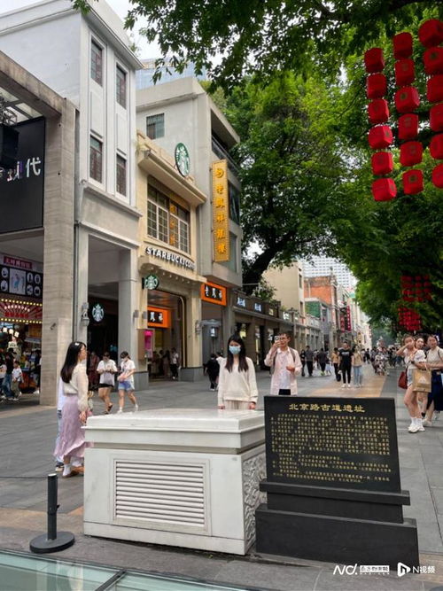  五一叹广州n种方式打开广州