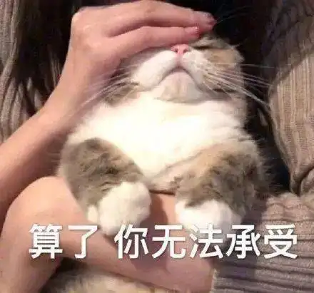 热议全体港校生,11月起,港澳学习证明或将取消
