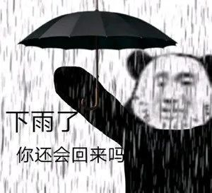  沙雕熊猫头表情包下雨了你还会回来吗