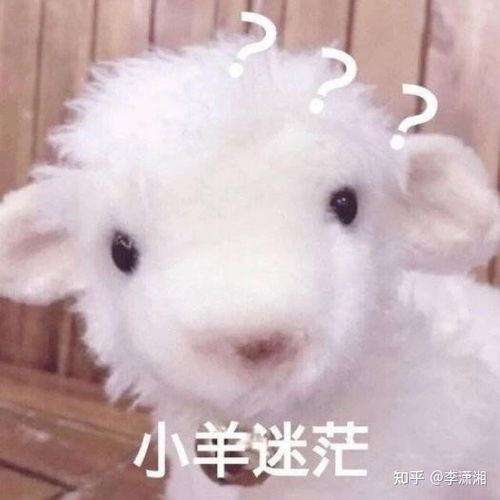 向大佬低头表情包gifim