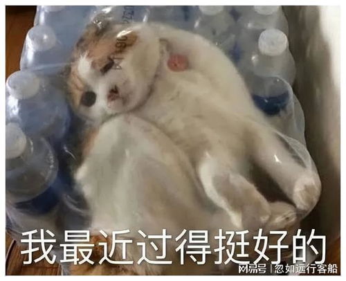  笑话有了孩子何必瞒着我呢,早这样不就早结婚了吗