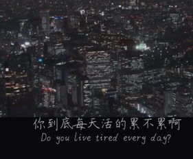  抖音上面那种很火的中英文字幕语录视频是什么软件制作