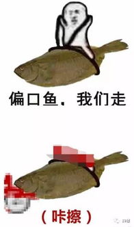  皮皮虾我们走表情包刷屏可日常画风却是这样