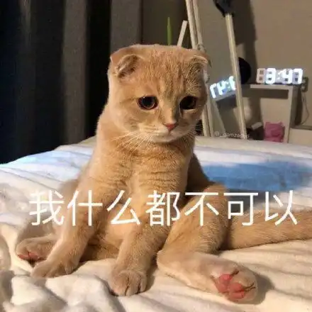  想吃东西奶茶是什么味来着火锅是什么味来着