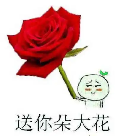 花花给你的表情包一朵