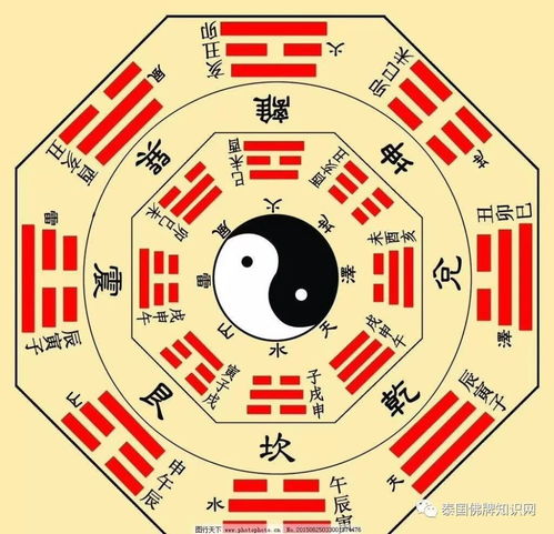  为什么要算命常算会把命算薄99的人不了解