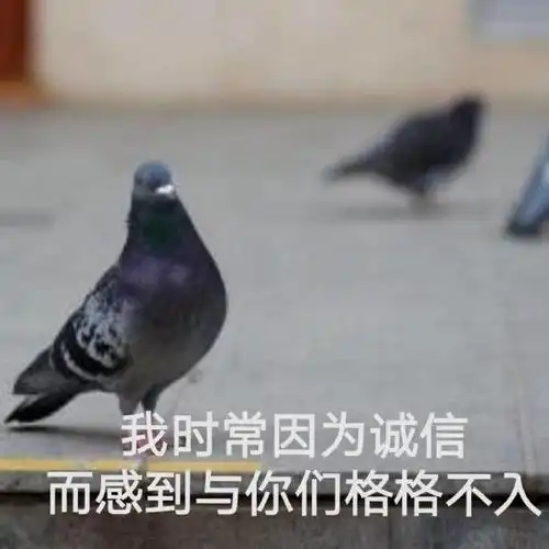  热门表情包图片好想每天睡前,能有人互道晚安